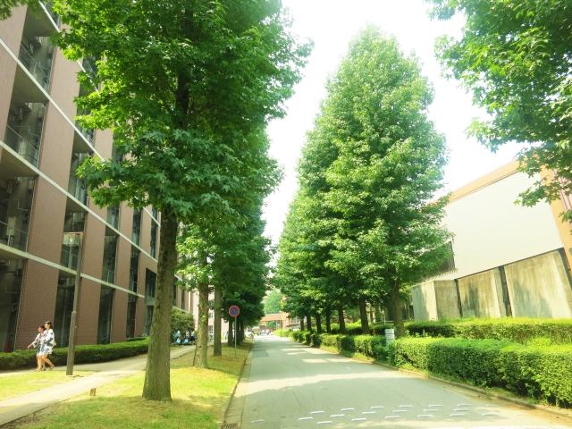 教育ローン 返済できない